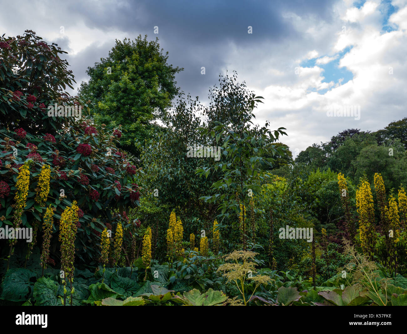 Cloudy Day, Royal Botanic Garden Edinburgh, Edinburgh, Scotland, UK, GB. Stock Photo