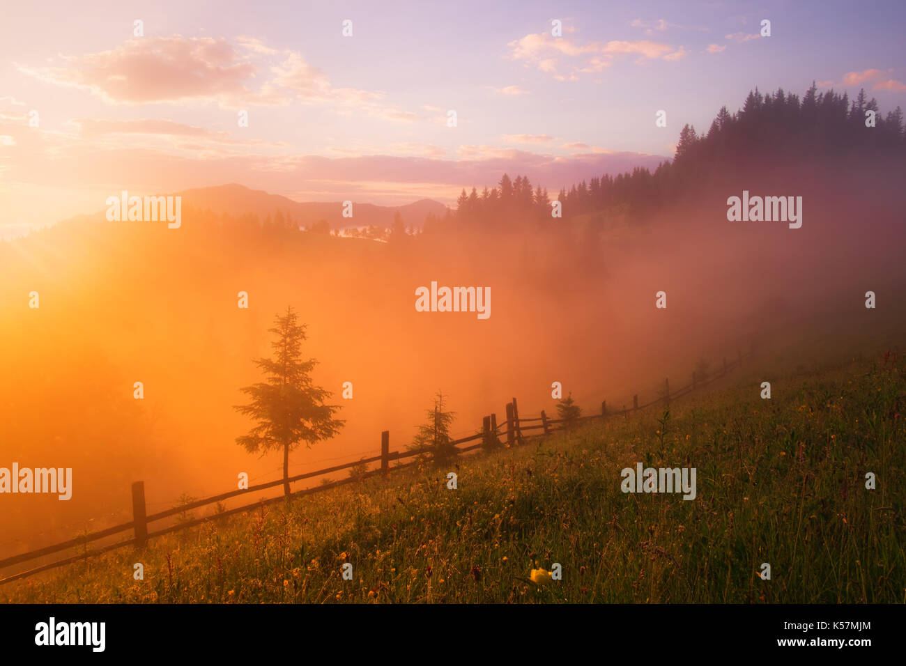 Mountain valley during sunrise. Amazing nature scene glowing by sunlight. Located place: Carpathians, Ukraine, Europe Stock Photo