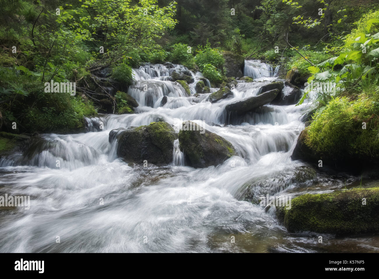 Beauty waterfall on mountain in summer time. Flowing water in the lush forest. Wilderness scene Stock Photo