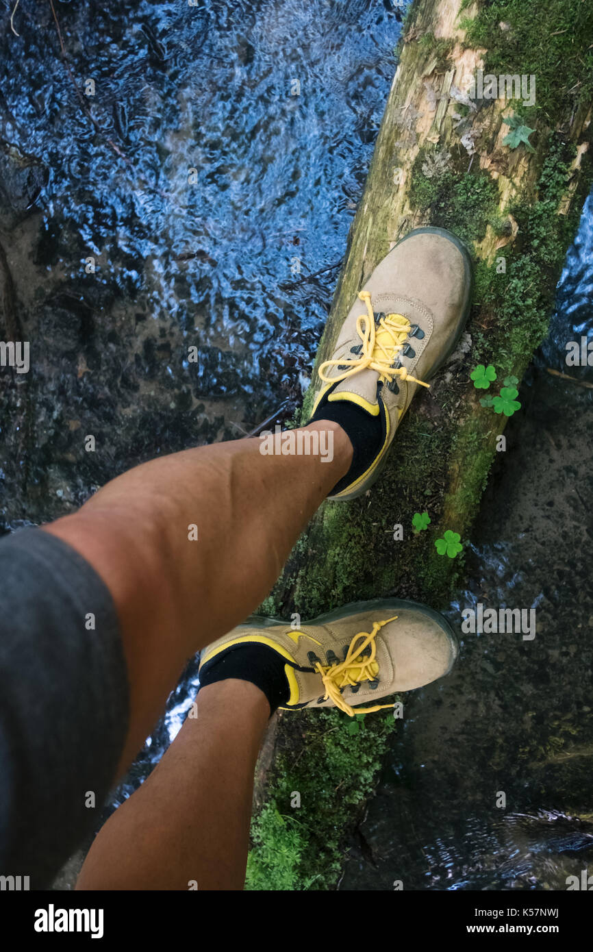 Hiker legs on log in the forest Stock Photo