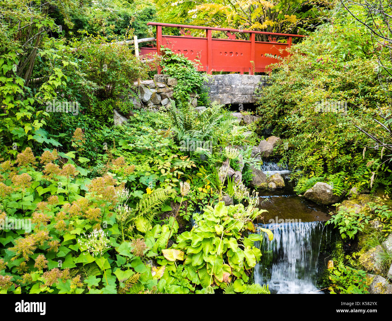 Red Bridge, Chinese Hillside, Royal Botanic Garden Edinburgh, Edinburgh, Scotland UK, GB. Stock Photo