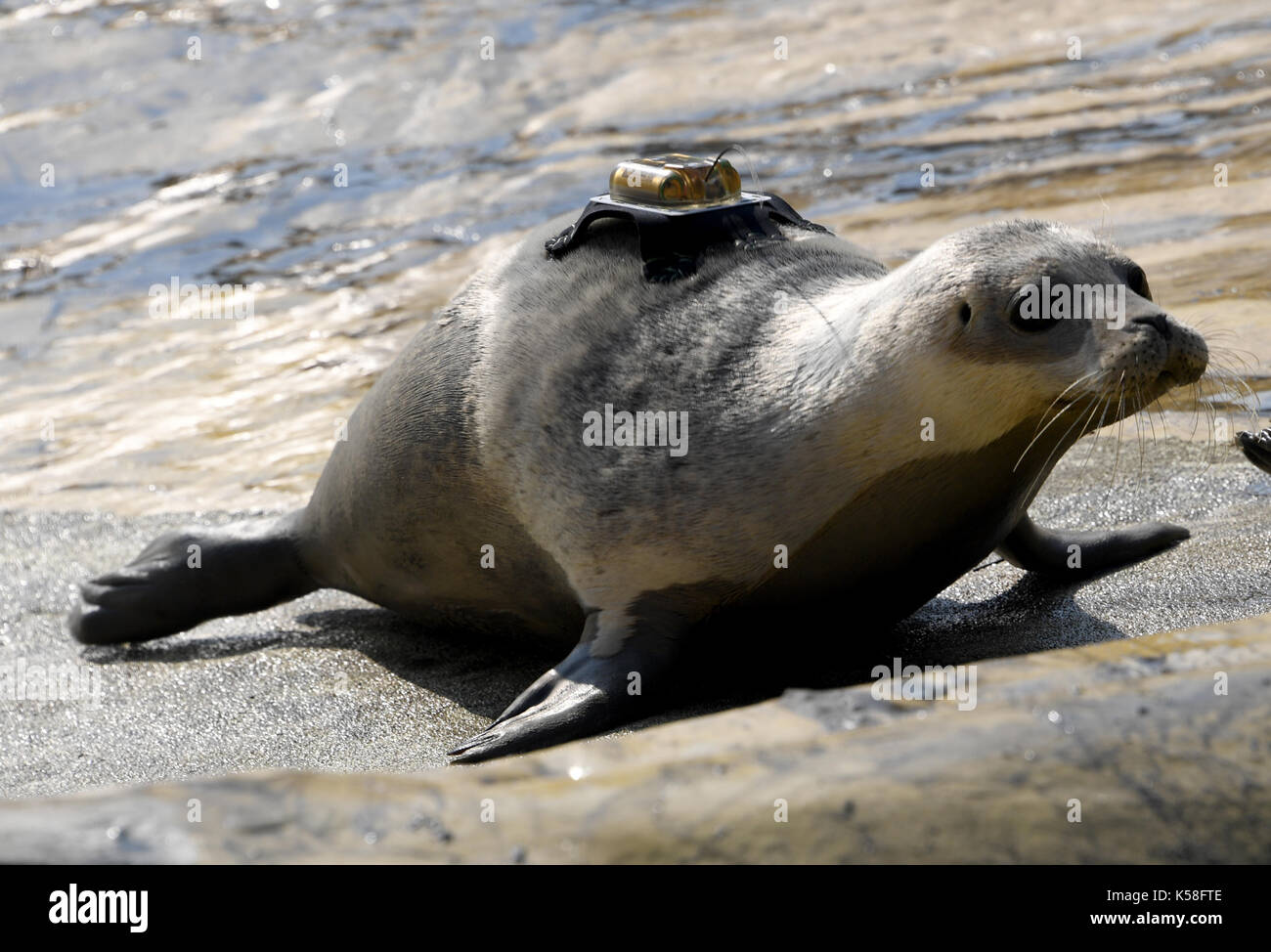 Humans behavior hires stock photography and images Alamy