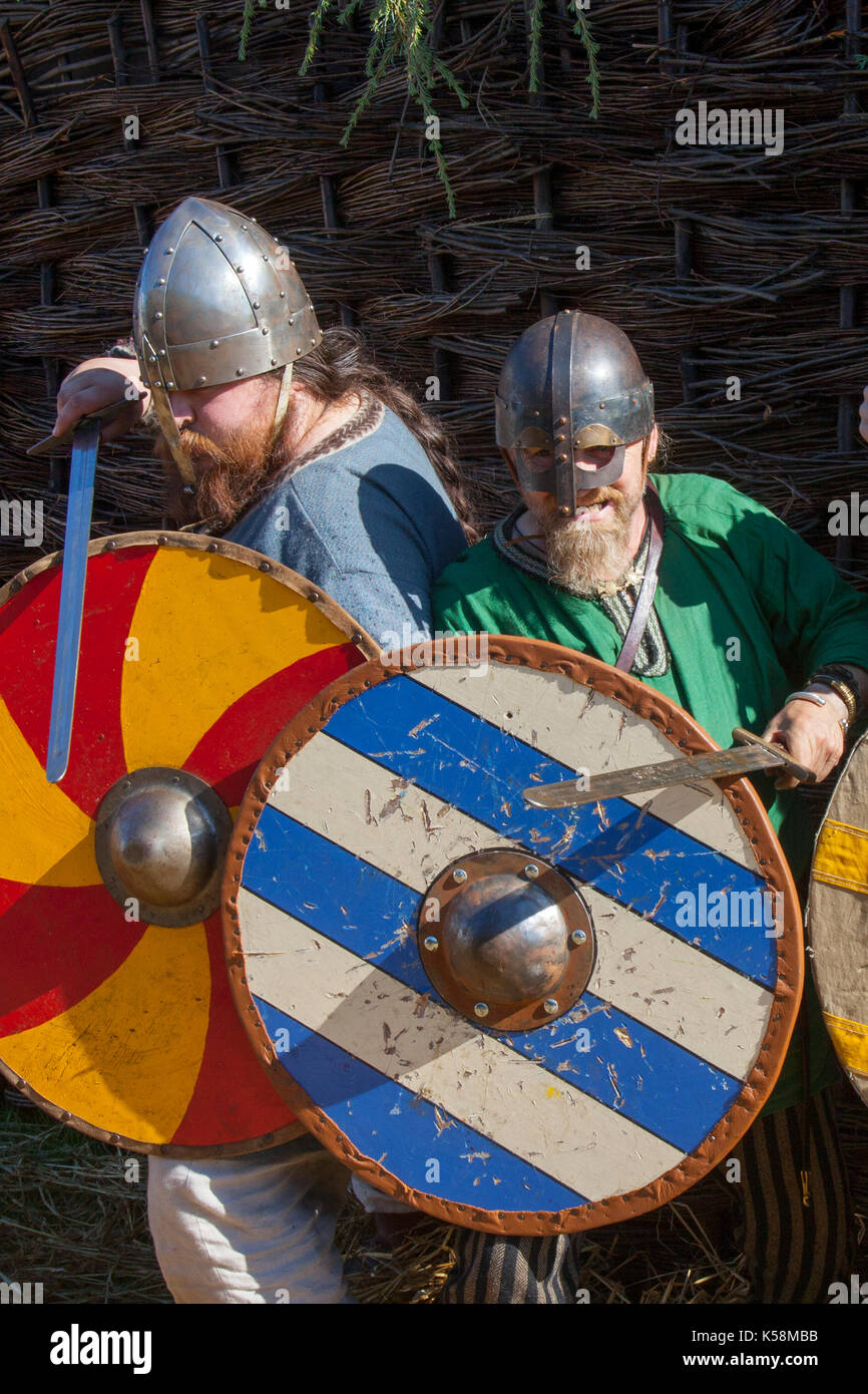 Bearded viking warrior shield reenactment hi-res stock photography and ...