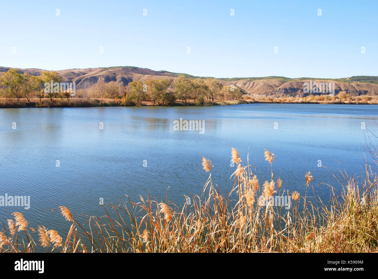 El Raso lake. Velilla de San Antonio, Madrid province, Spain. Stock Photo