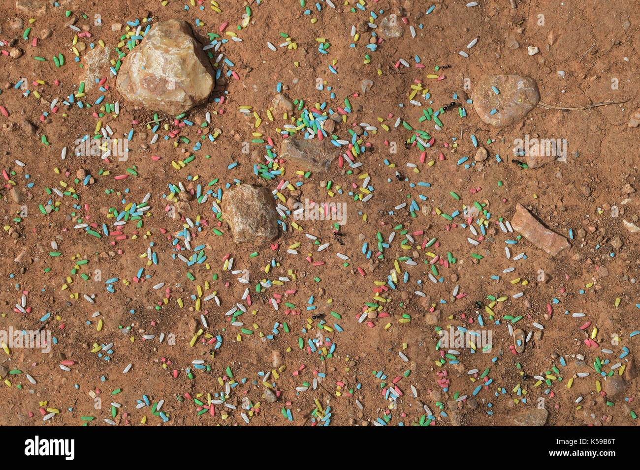 Worker ants gathering sweet colorful sprinkles. Abstract background. Stock Photo