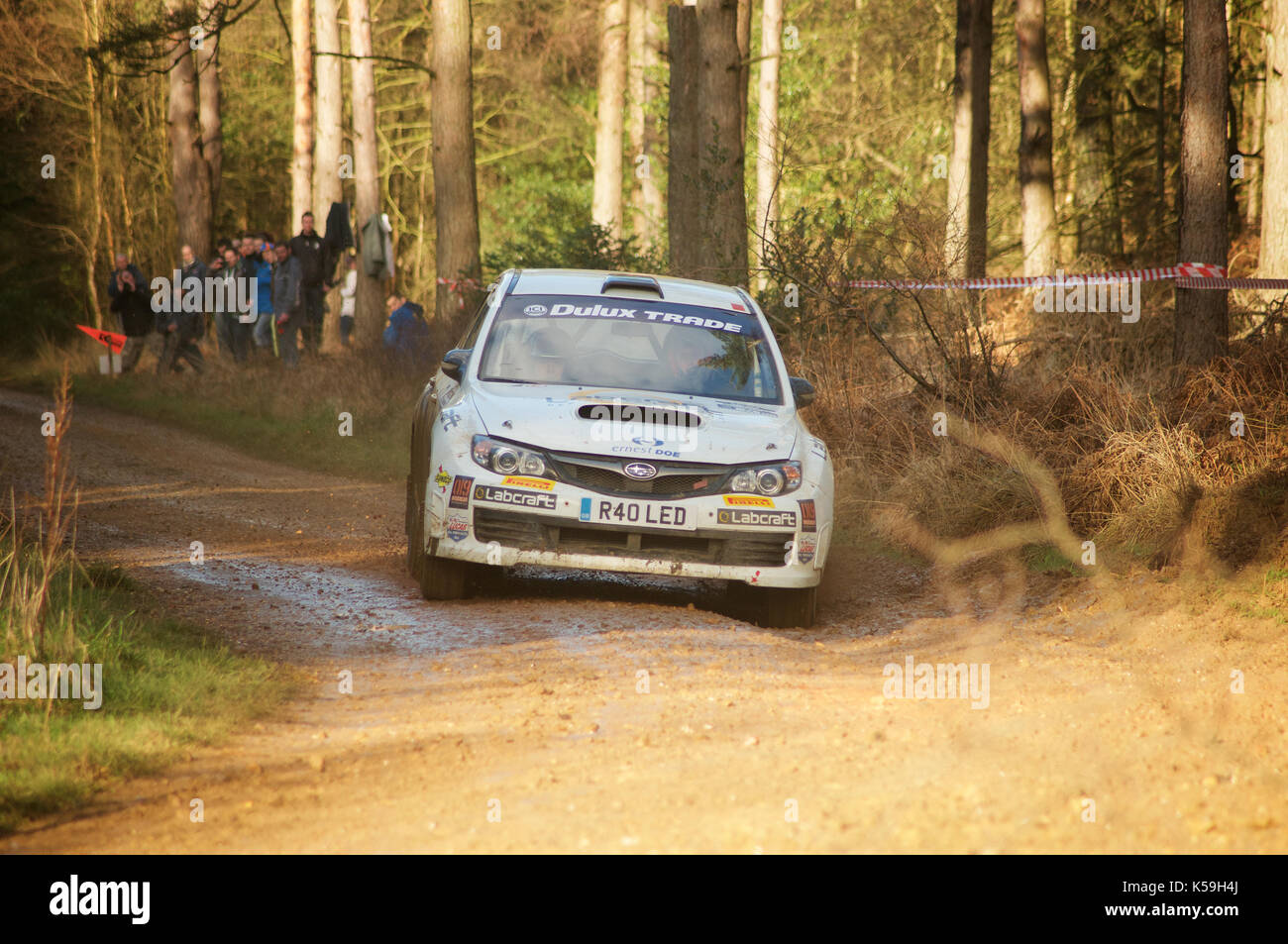 Rally Car on a forest stage of the Sunseeker Rally 2011 Stock Photo - Alamy