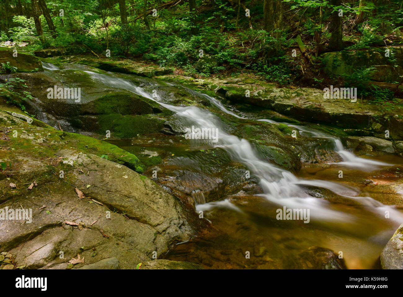 Hiking Trails Near Me With Waterfalls Virginia Sabis Bulldog Athletics