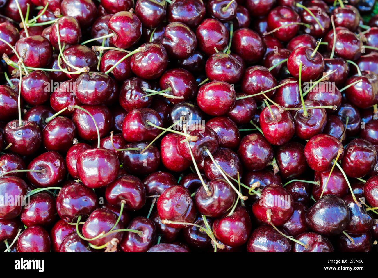 Fresh organic cherry fruit background Stock Photo Alamy