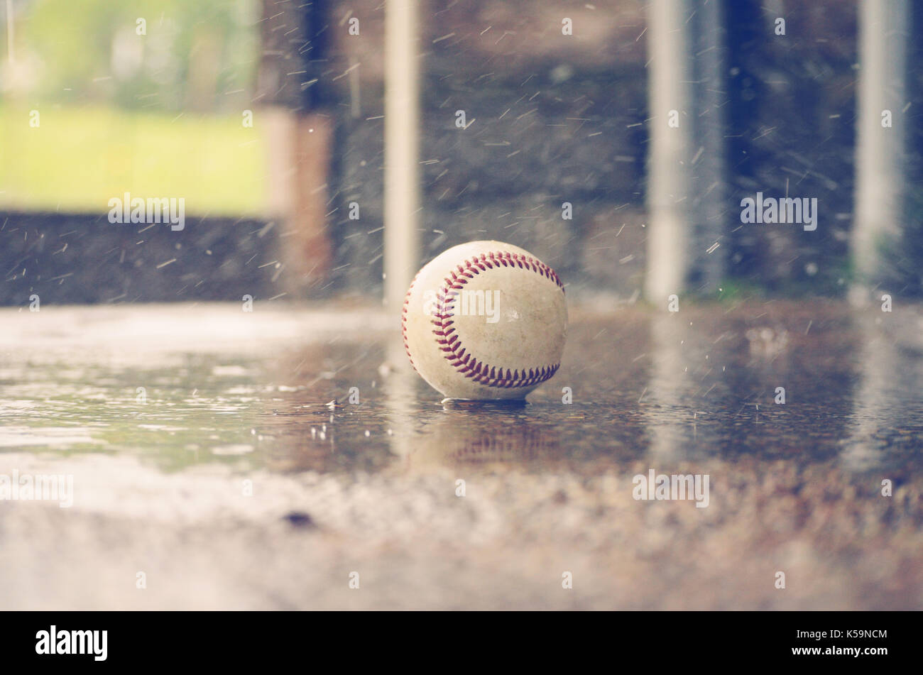 Forgotten baseball left out in the rain weather conditions. Sports  equipment getting soaked Stock Photo - Alamy