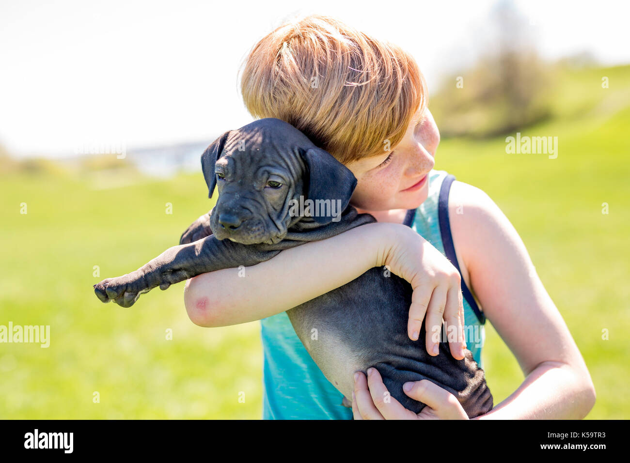 Cute, young boy in the garden holding a boxer dog Stock Photo