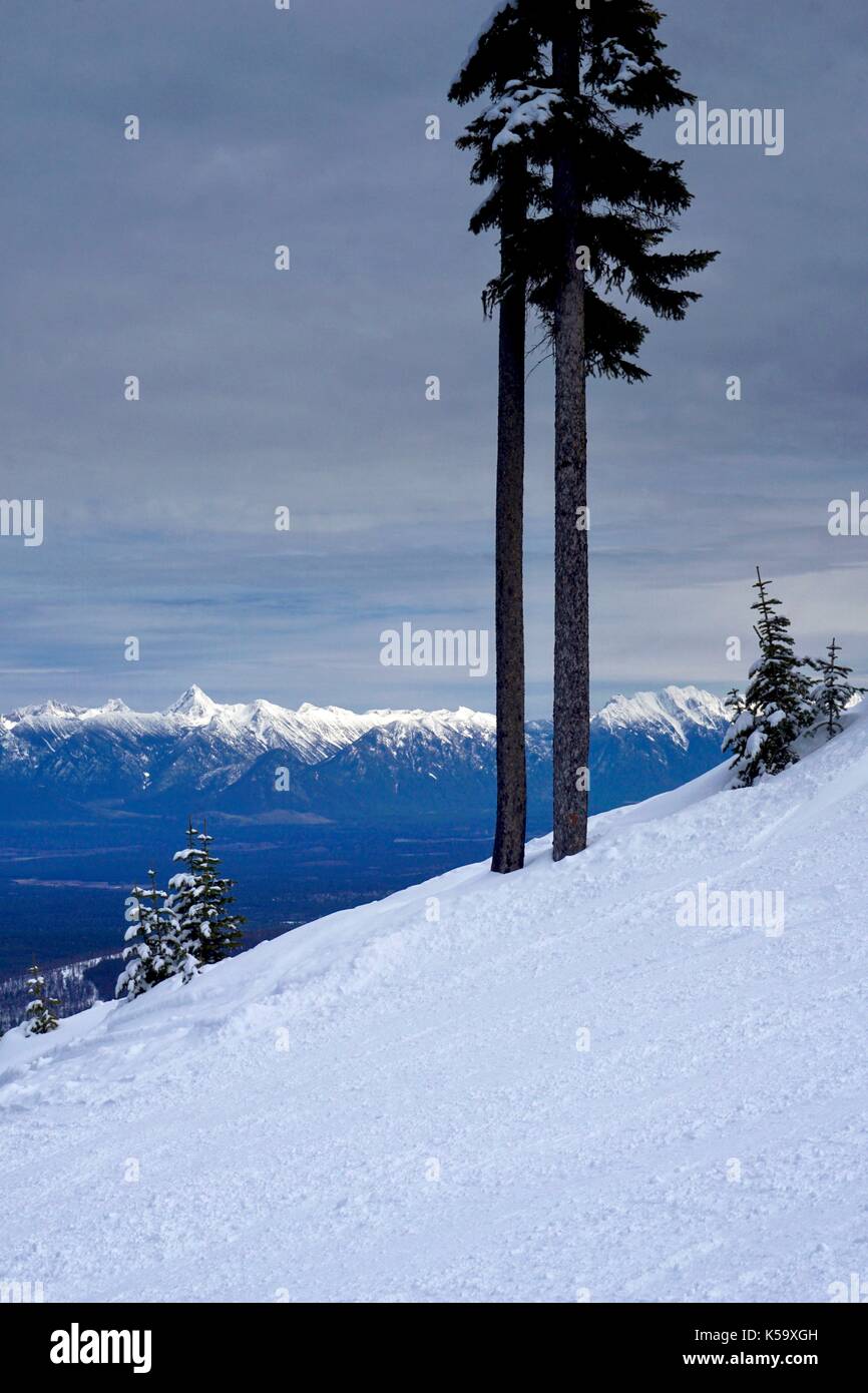Vertical shot of steep slope on ski hill in winter with mountain background Stock Photo