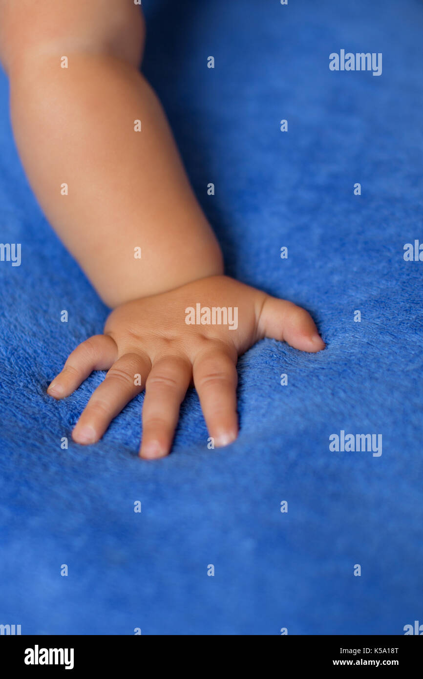 Child's hand on the veil Stock Photo
