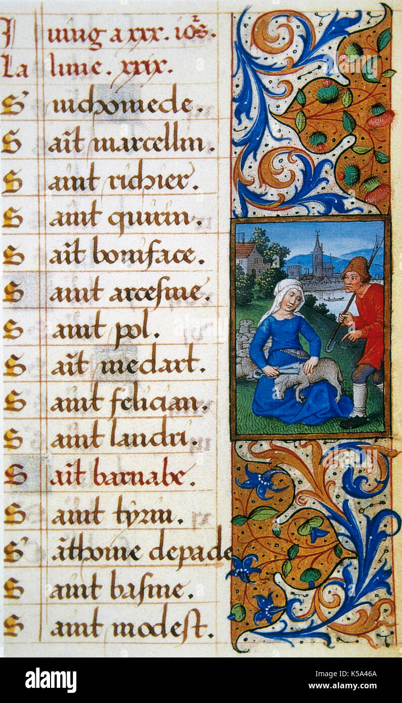Late Middle Ages. 'Heures de Seguire'. Miniature of the 15thcentury with the representation of the month of June from a calendar: sheared of a ram. Conde Museum, Chateau of Chantilly, France. Stock Photo