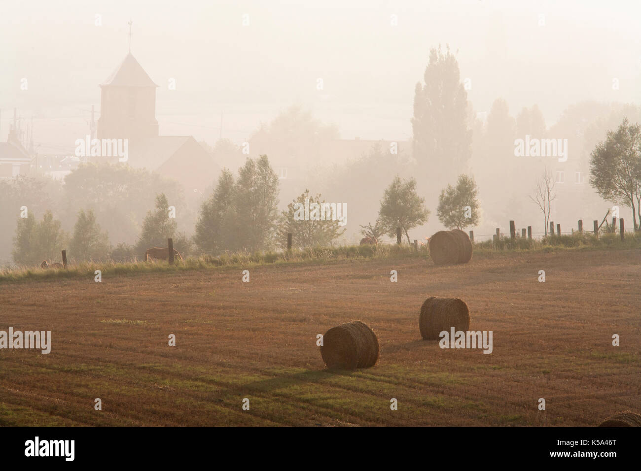Misty rural scene in the North of France Stock Photo