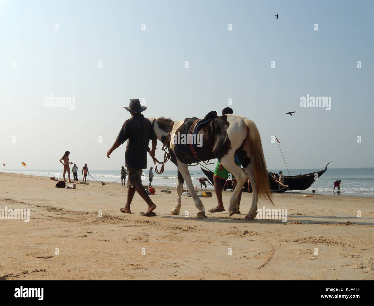 Scene at Goa beach, India. Walking cowboy with the horse and fishermen who  just docked on the boat to the ocean shore. Stock Photo