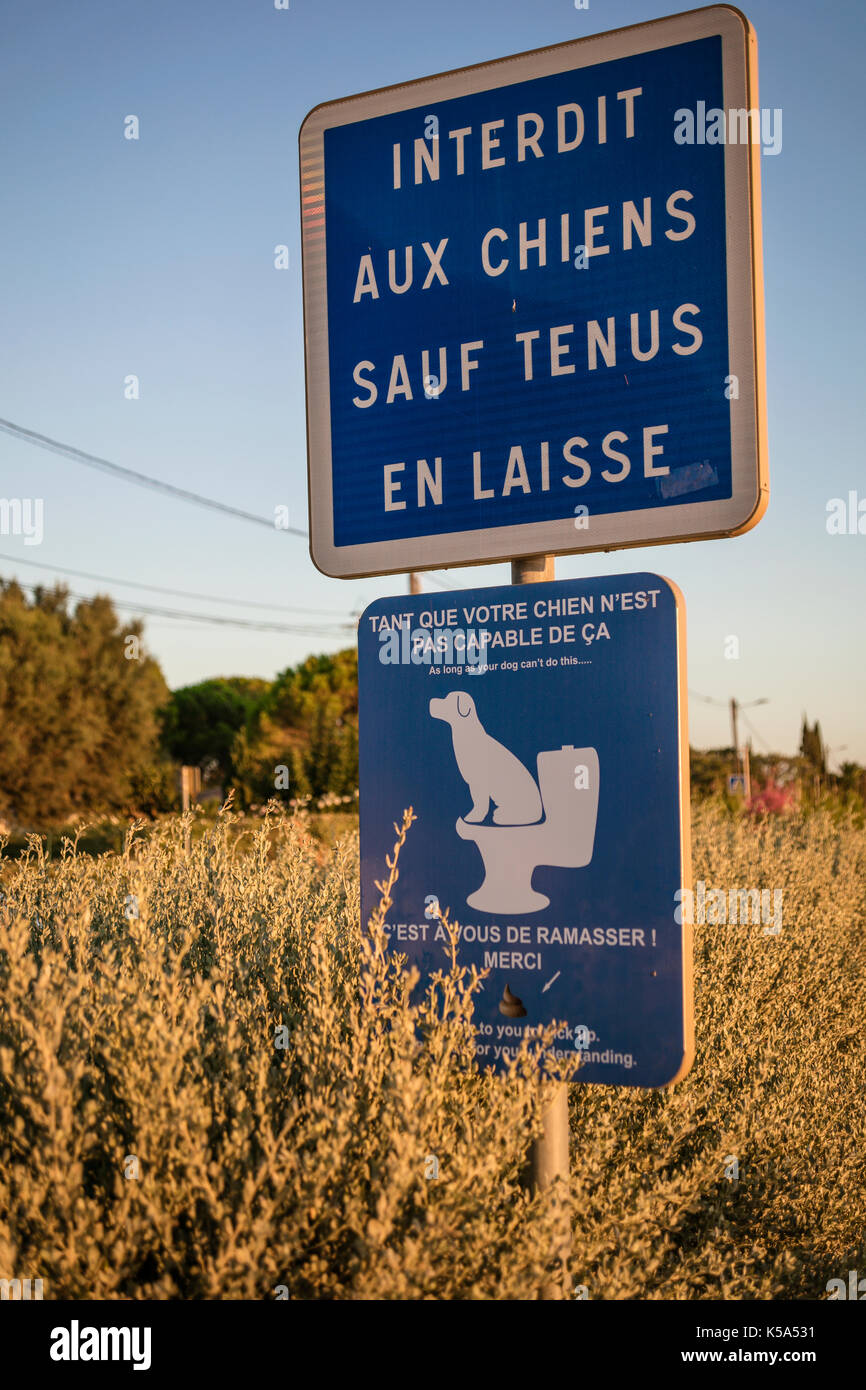 Dog fouling sign on esplanade, Marseillan, Herault, France. Stock Photo