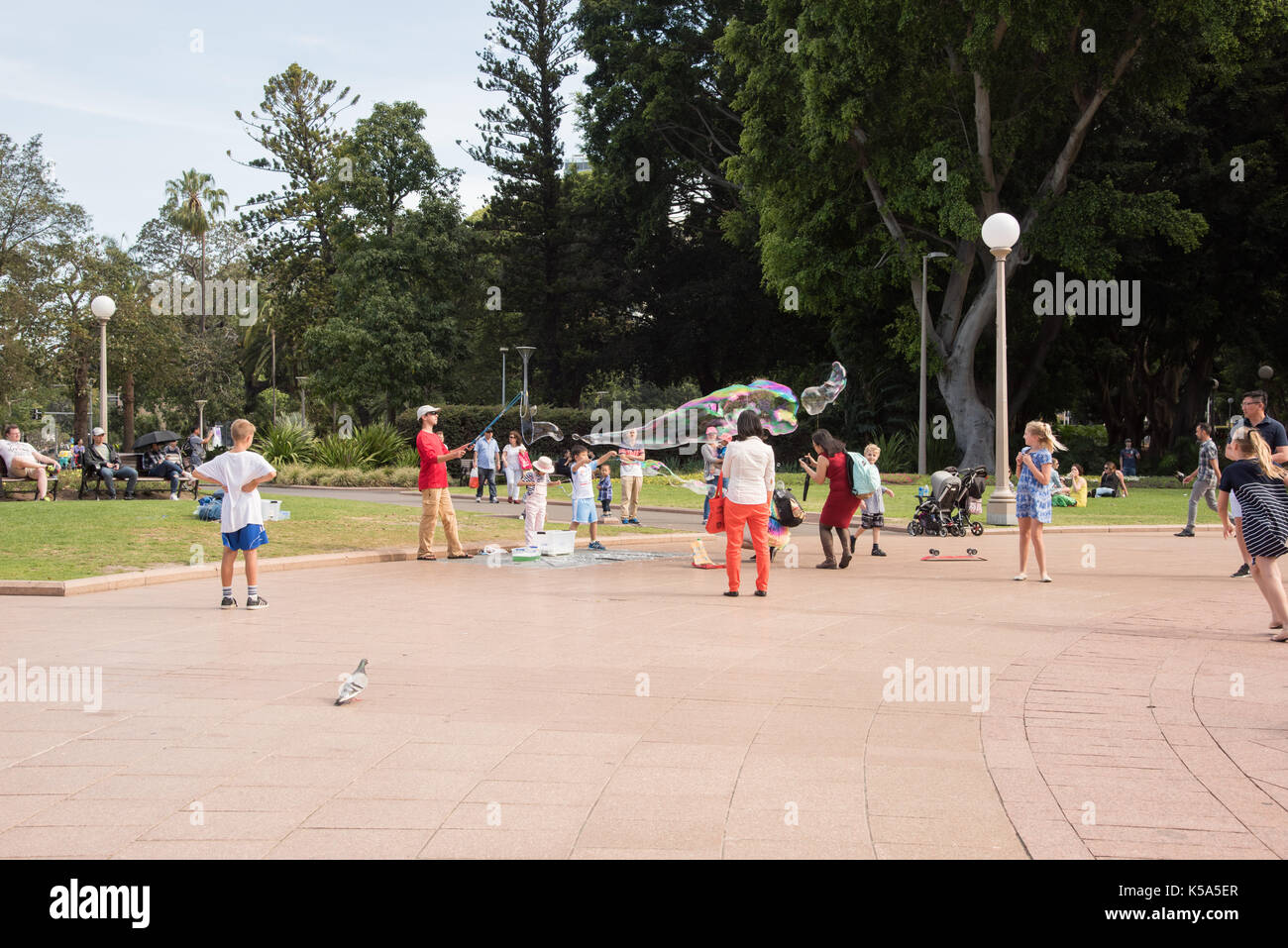 tri string bubble wand