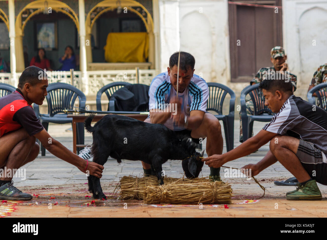 KATHMANDU, NEPAL - 9/26/2015: A goat is sacrificed during a military ceremony at Durbar Square in Kathmandu, Nepal. Stock Photo