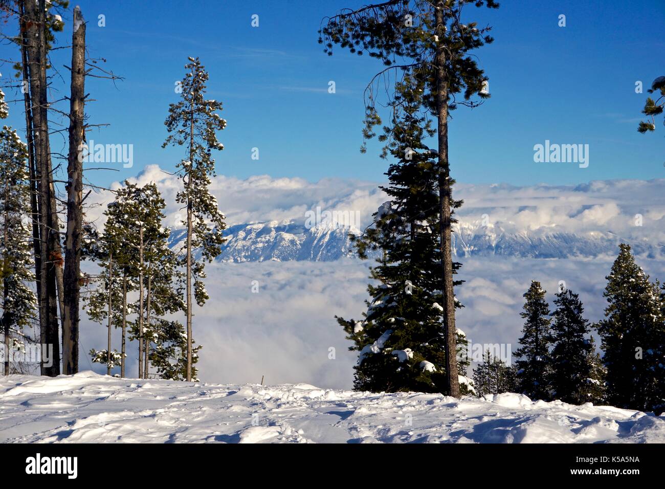 Top of snowy hill looking over cloud covered mountain range in winter Stock Photo