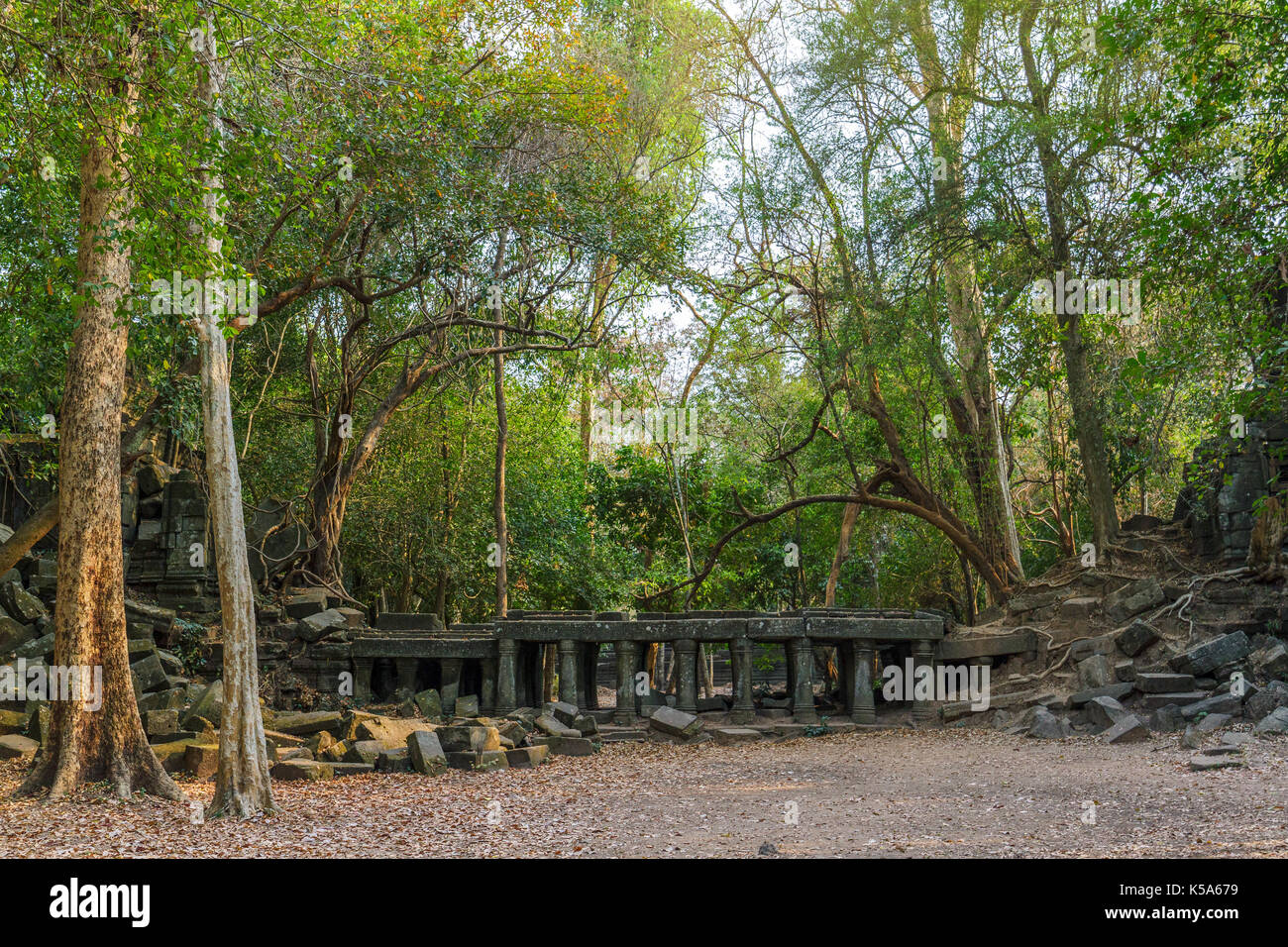 Jungle temple hi-res stock photography and images - Alamy
