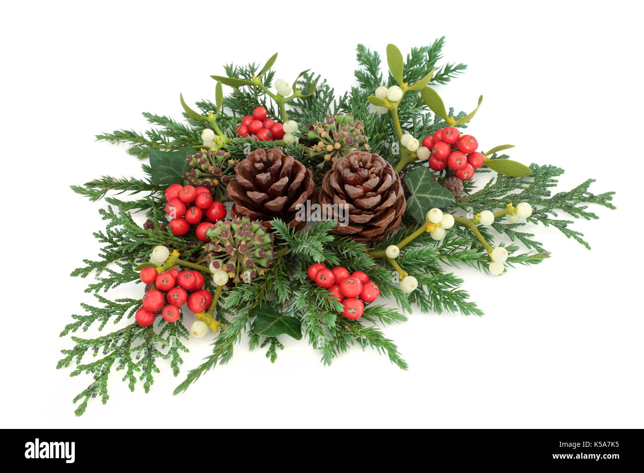 Winter greenery with natural flora & fauna of holly, ivy, mistletoe, cedar  cypress, spruce fir, yew & pine cones. Nature study composition. Flat lay  Stock Photo - Alamy