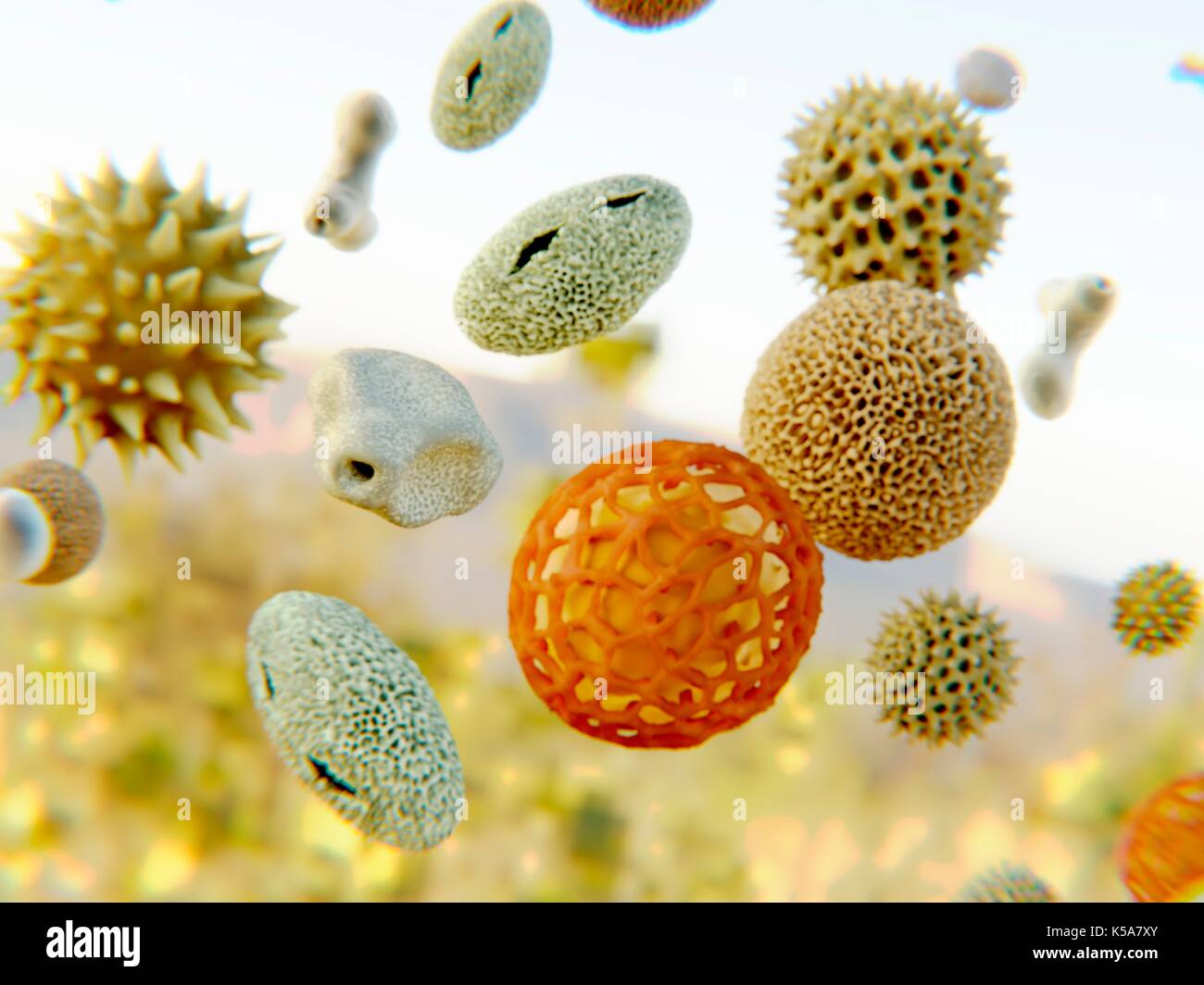 Pollen, illustration. Stock Photo