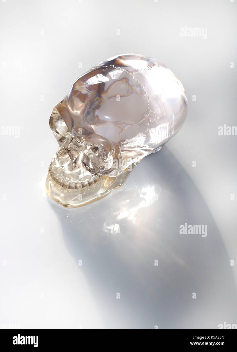 Glass skull, illustration. Stock Photo