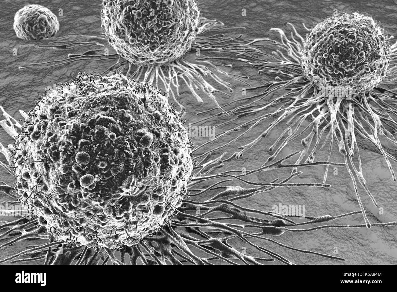 Cancer Cells Illustration Stock Photo Alamy