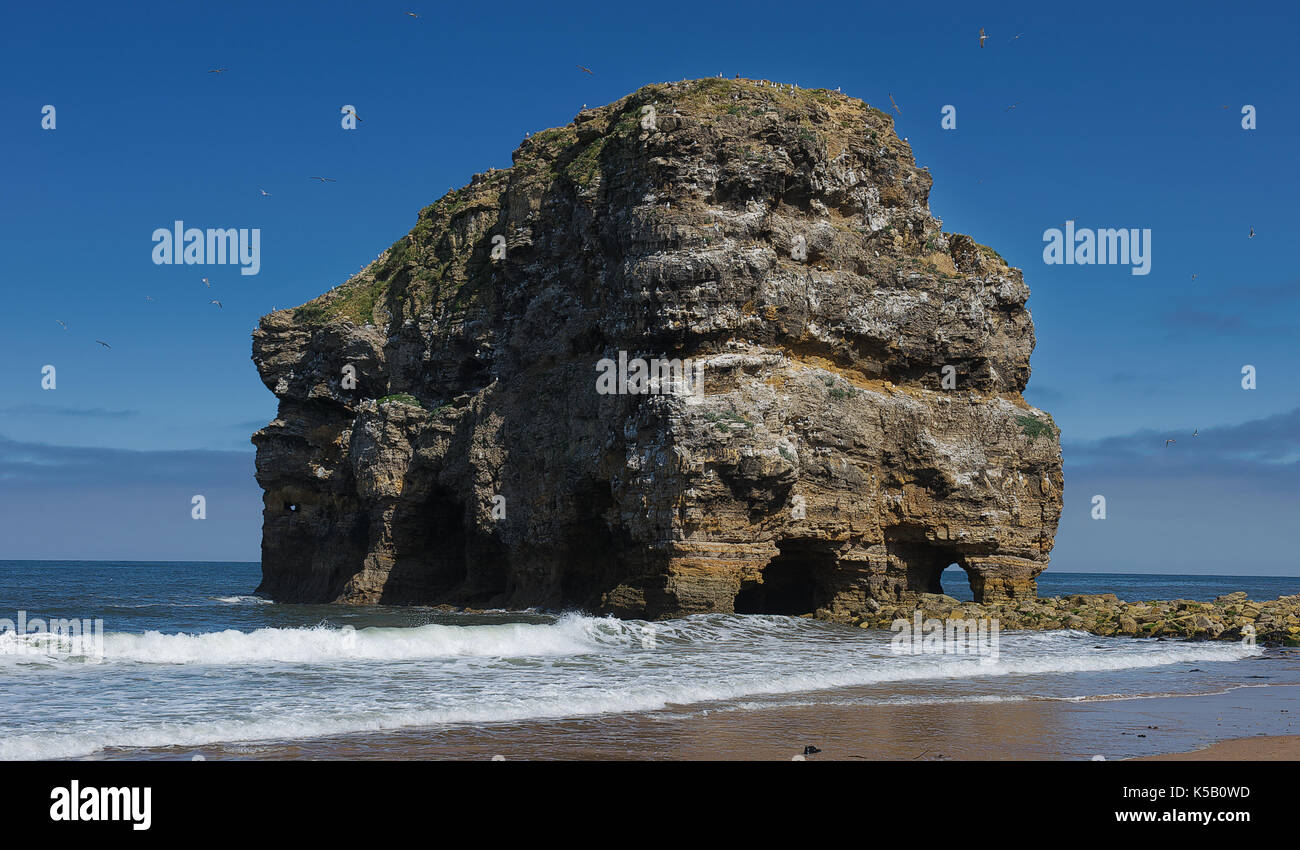 Souter beach & Coast, Whitburn, Sunderland, Tyne & Wear Stock Photo Alamy