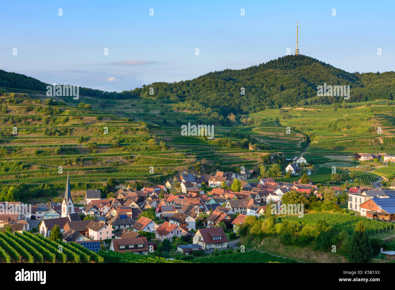 village Bickensohl, vineyard, vineyards, wine, mountain Totenkopf, Vogtsburg im Kaiserstuhl, Kaiserstuhl, Baden-Württemberg, Germany Stock Photo