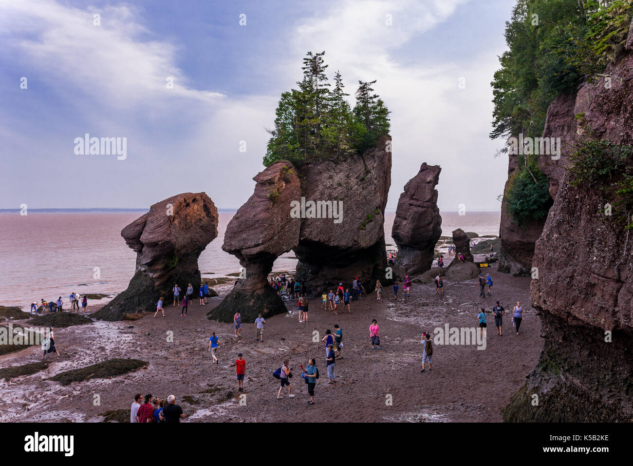 Hopewell rocks ocean tidal exploration site hi-res stock photography ...