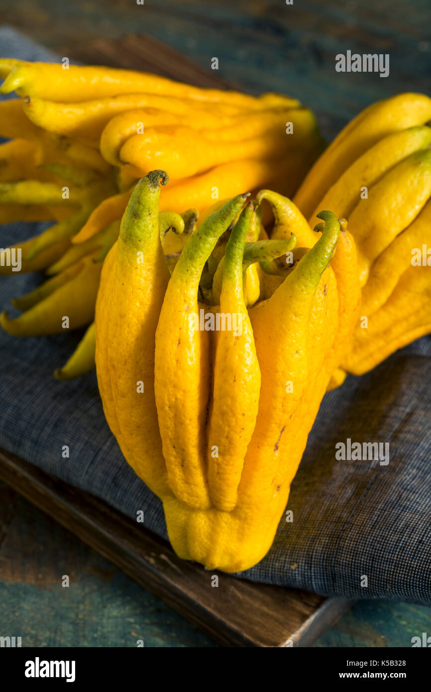 Yellow Organic Buddhas Hand Citrus Fruit with Fingers Stock Photo Alamy