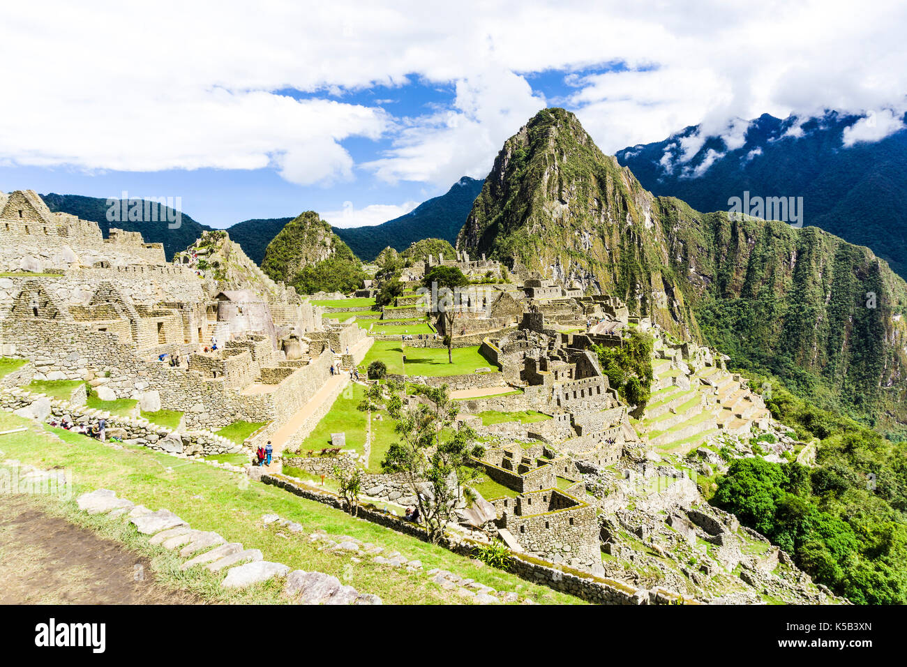 Inca tree machu picchu hi-res stock photography and images - Alamy