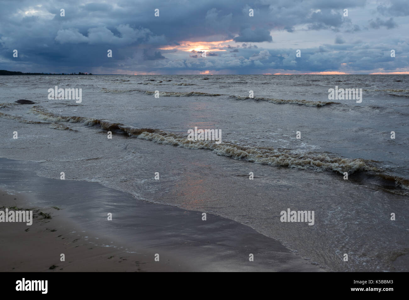 Wild beach. Baltic Sea. The Gulf of Finland, Russia Stock Photo