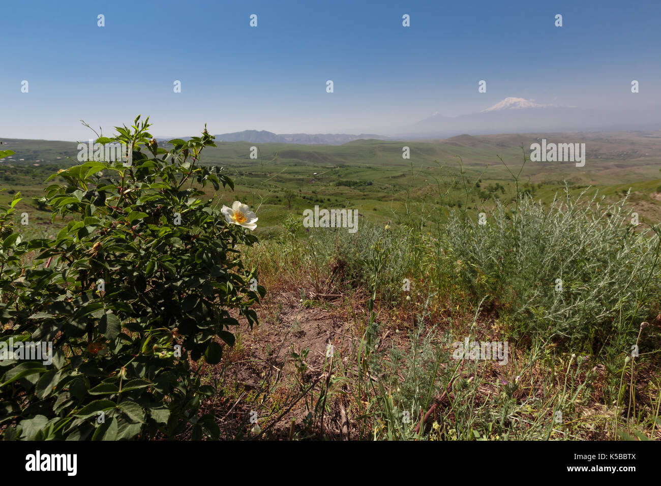 green Armenian valley Stock Photo