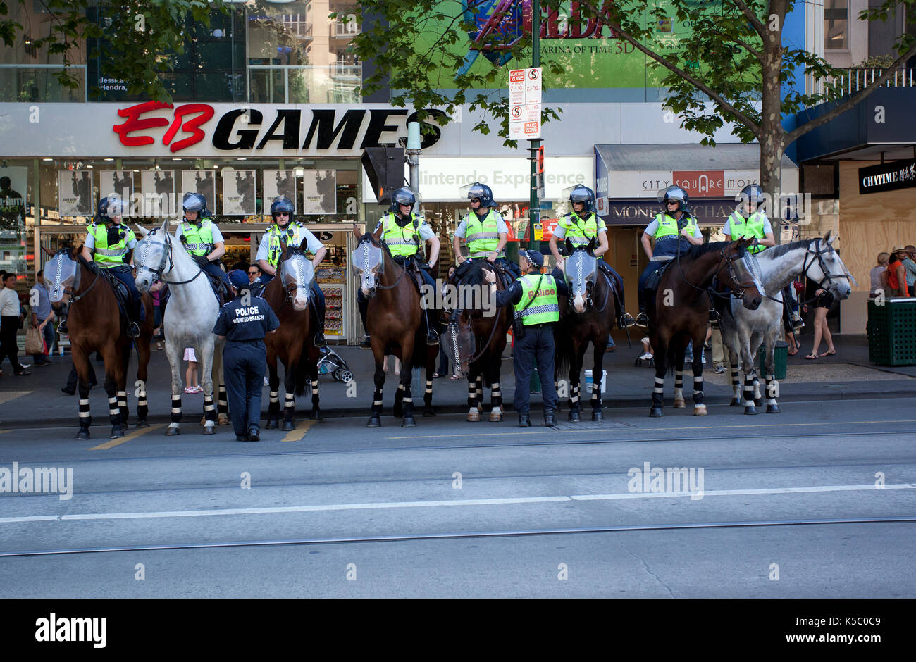 Austalian Mounted police line up for duties. Stock Photo