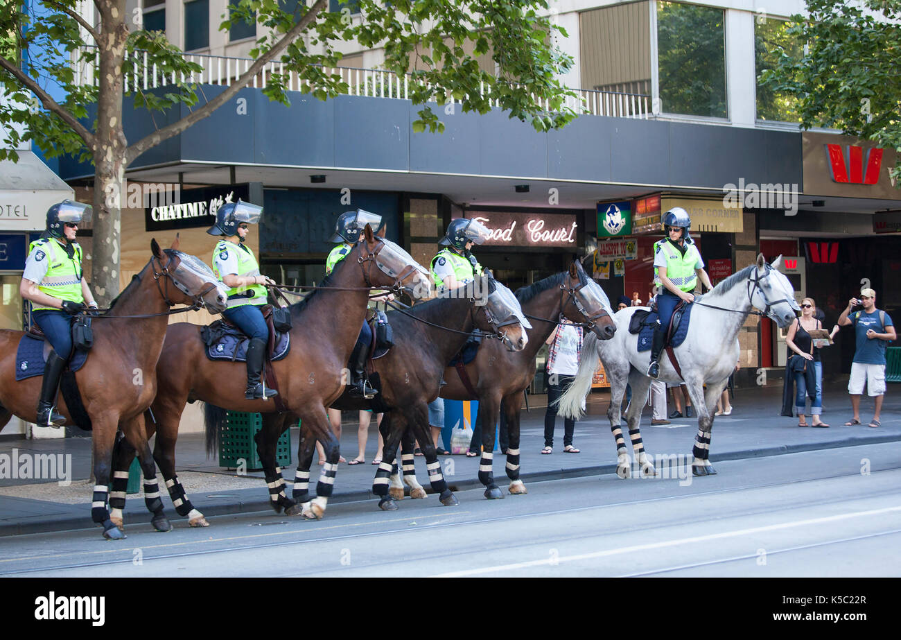 Mounted police line up for assignments Stock Photo