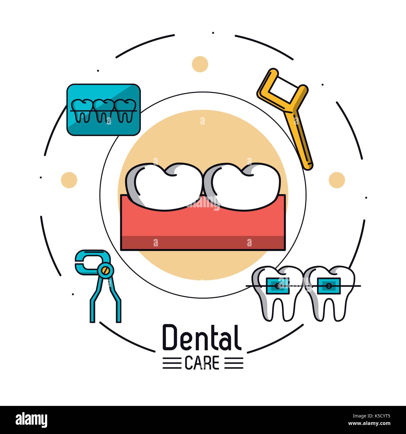 Dental care infographic Stock Vector Image & Art - Alamy