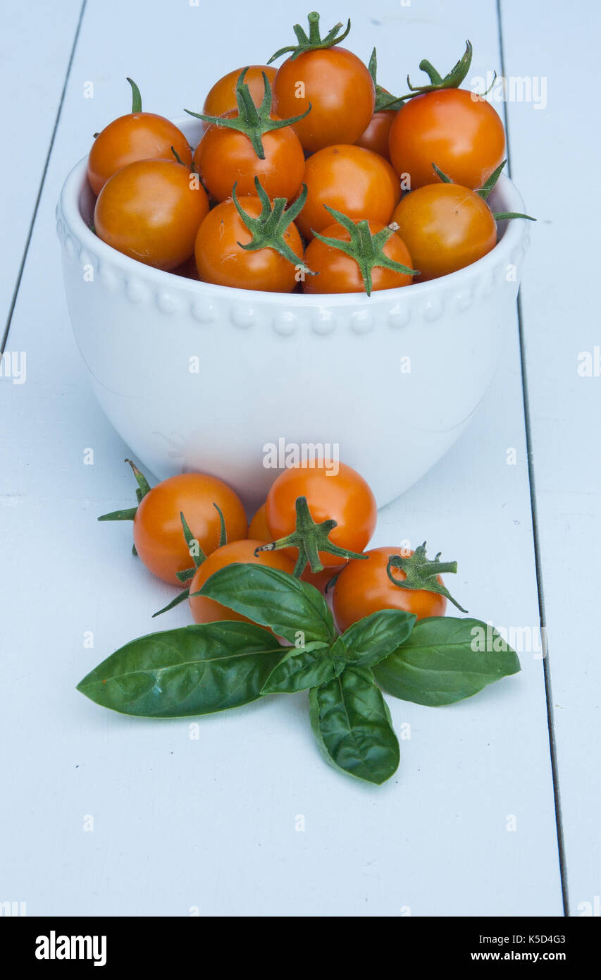 Sun Gold Cherry Tomatoes, in a white bowl, on a white background. Stock Photo