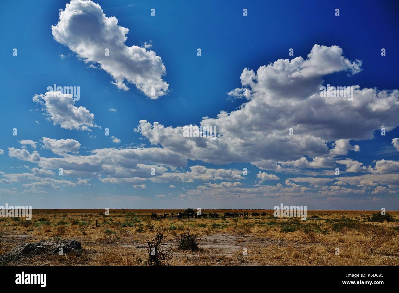 African desert landscape Stock Photo