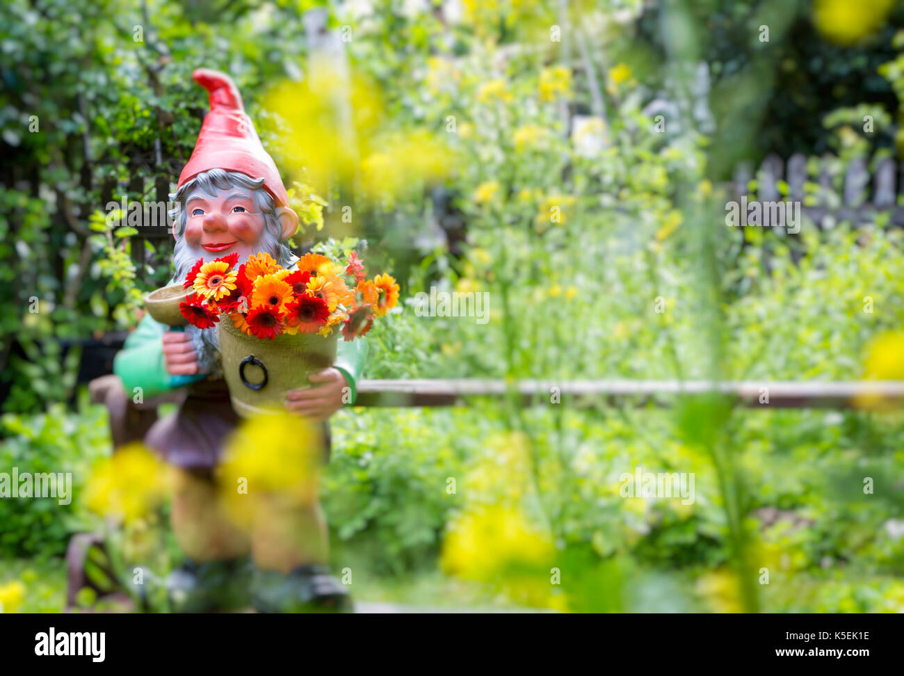 Typical Germany: garden gnome in a german garden, dwarf. Stock Photo