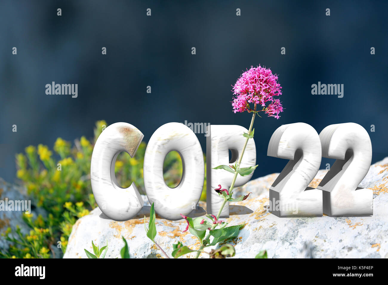 COP 22 in Marrakesh, Morocco. 3D Text in Nature Stock Photo