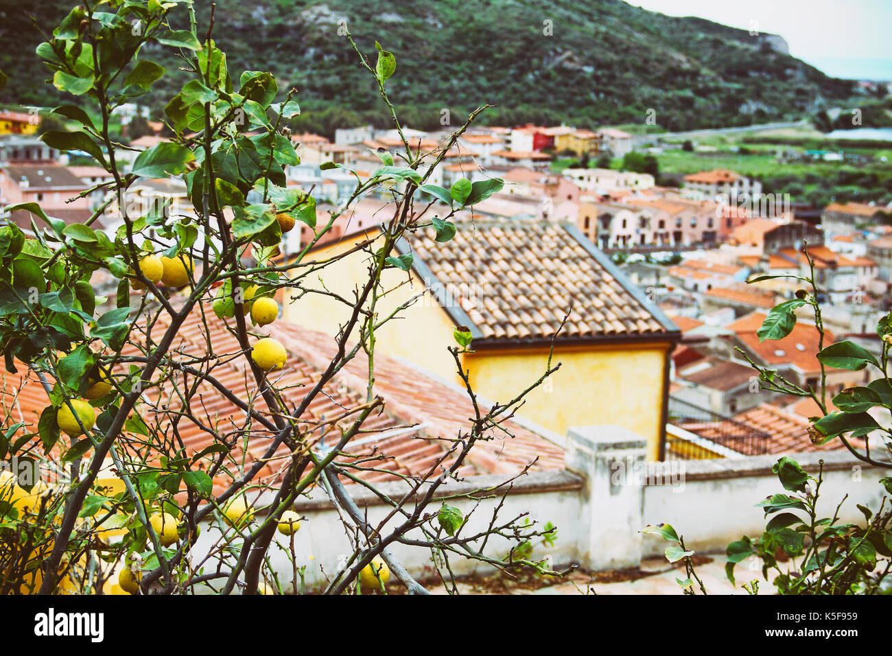 Lemon tree and roofs of medieval town of Bosa, Sardinia, Italy Stock Photo