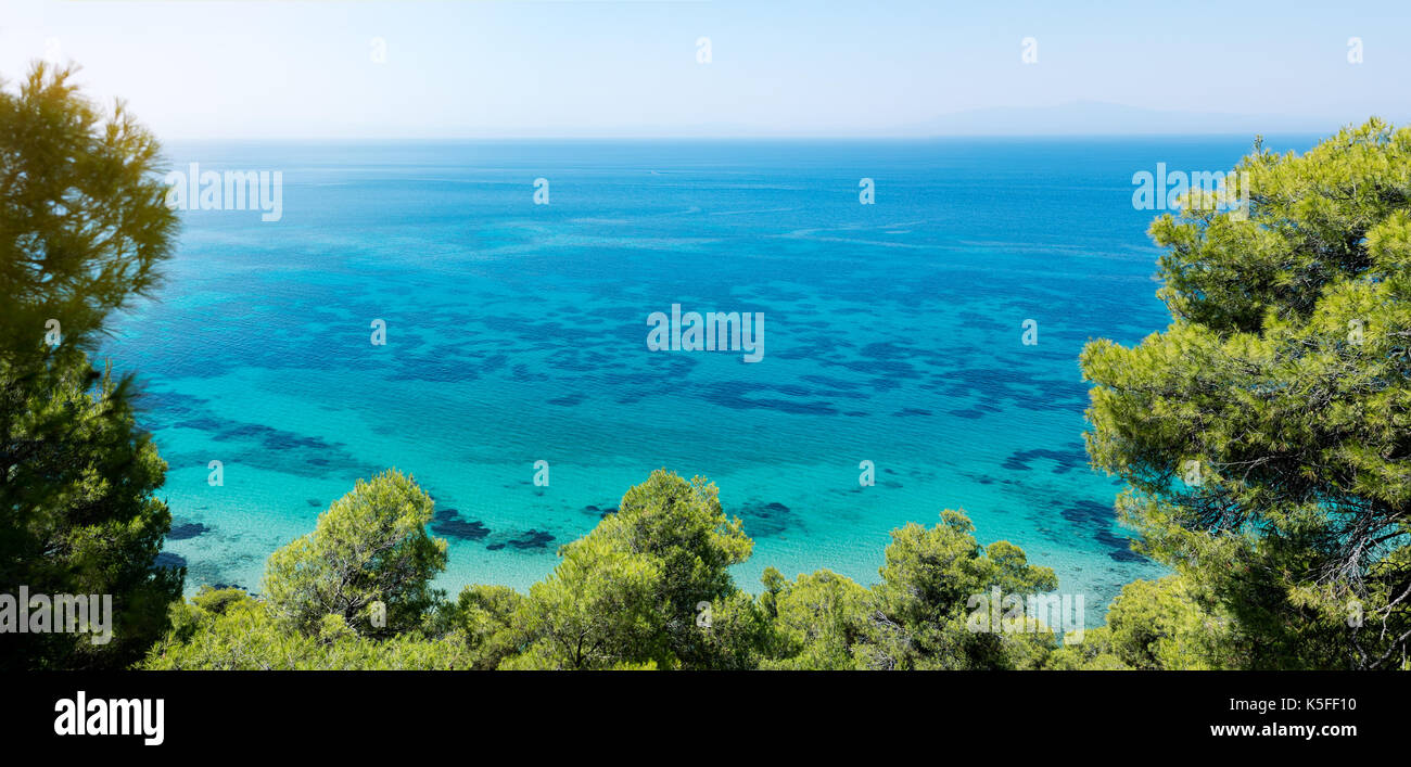 Natural beauty, landscape of sea pine trees Stock Photo - Alamy