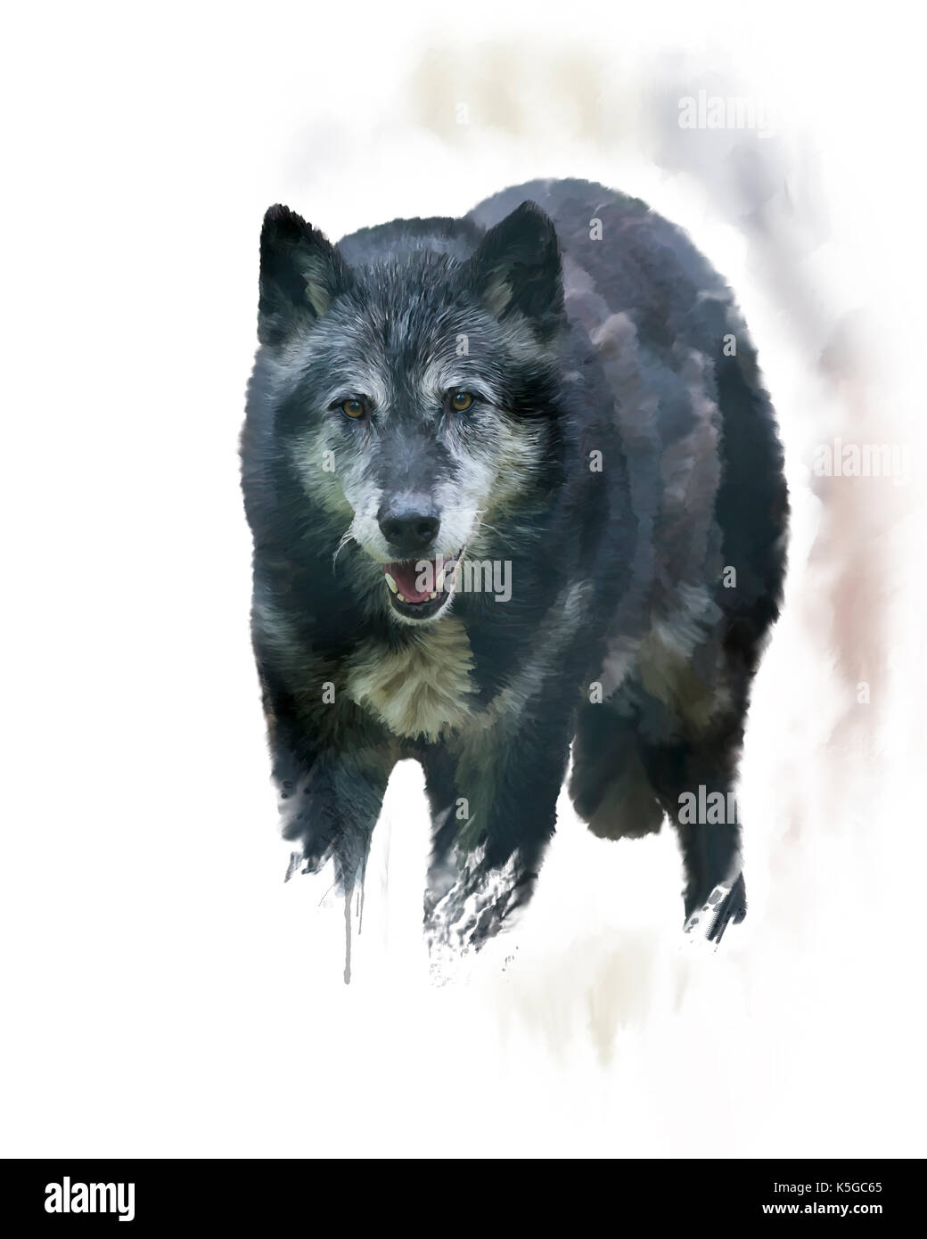 Timber wolf Cut Out Stock Images & Pictures - Alamy