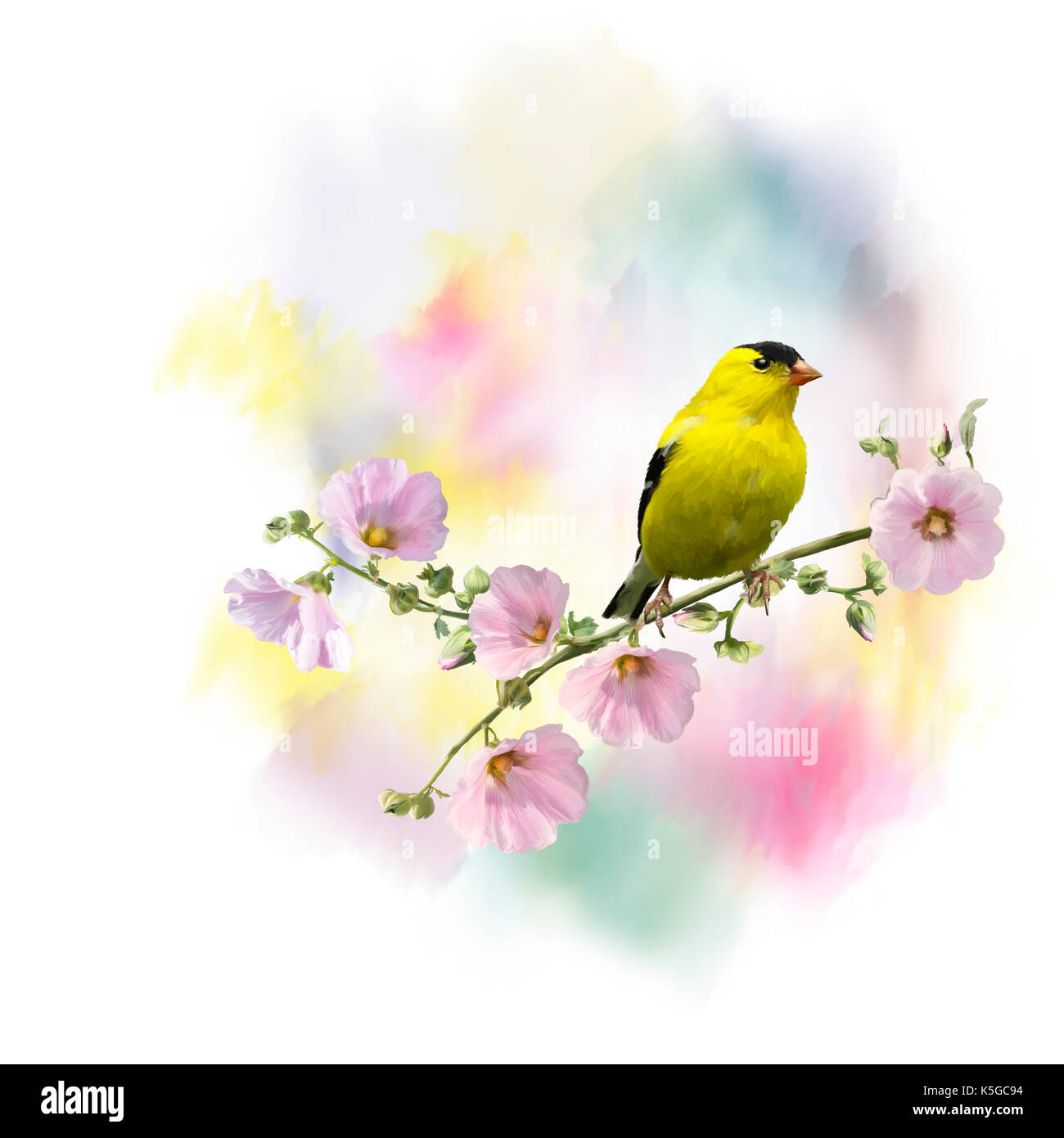 Digital Painting of  American Goldfinch (Carduelis tristis), on the flowers Stock Photo