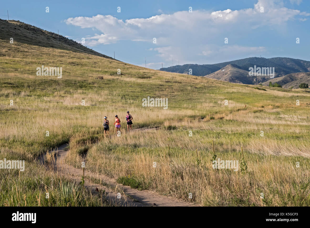Golden Colorado Runners In North Table Mountain Park A Mesa Stock Photo Alamy