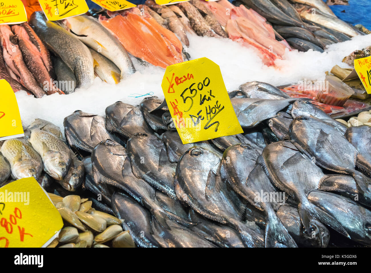 Seafood and fish at a market in Santiago, Chile Stock Photo Alamy