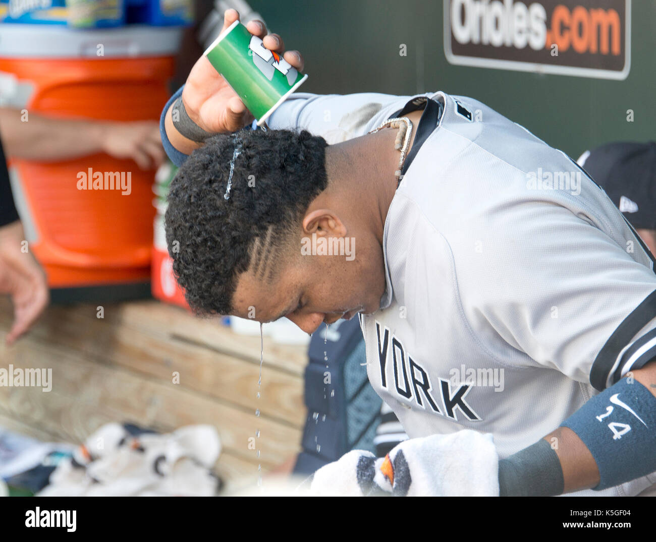 New york yankees second baseman starlin castro 14 hi-res stock photography  and images - Alamy