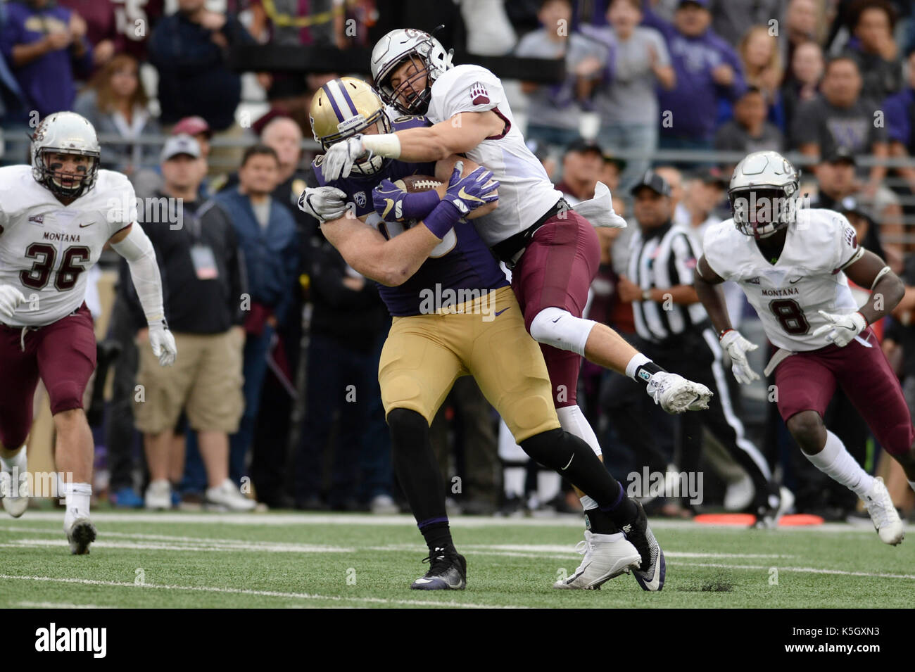 Seattle, WA, USA. 9th Sep, 2017. UW tight end Will Dissly (98) snags a pass against Montana's Josh Buss (42) during a NCAA football game between the Montana Grizzlies and the Washington Huskies. The game was played at Husky Stadium on the University of Washington campus in Seattle, WA. Jeff Halstead/CSM/Alamy Live News Stock Photo